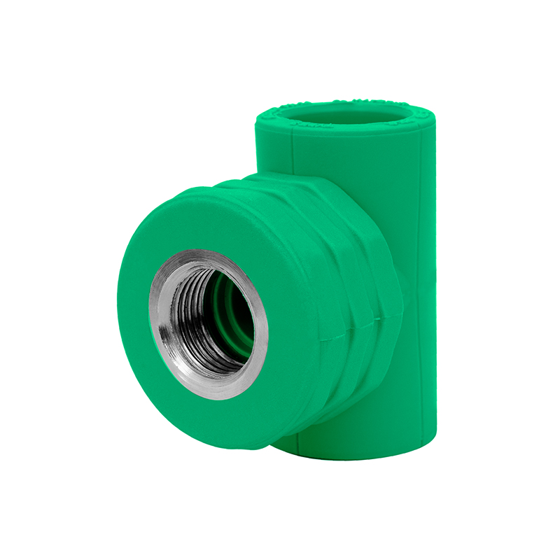 تيه مع سن داخلي